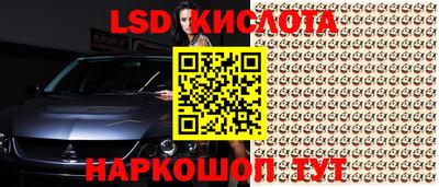 индика Жуковский