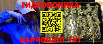 прущие грибы Заволжье