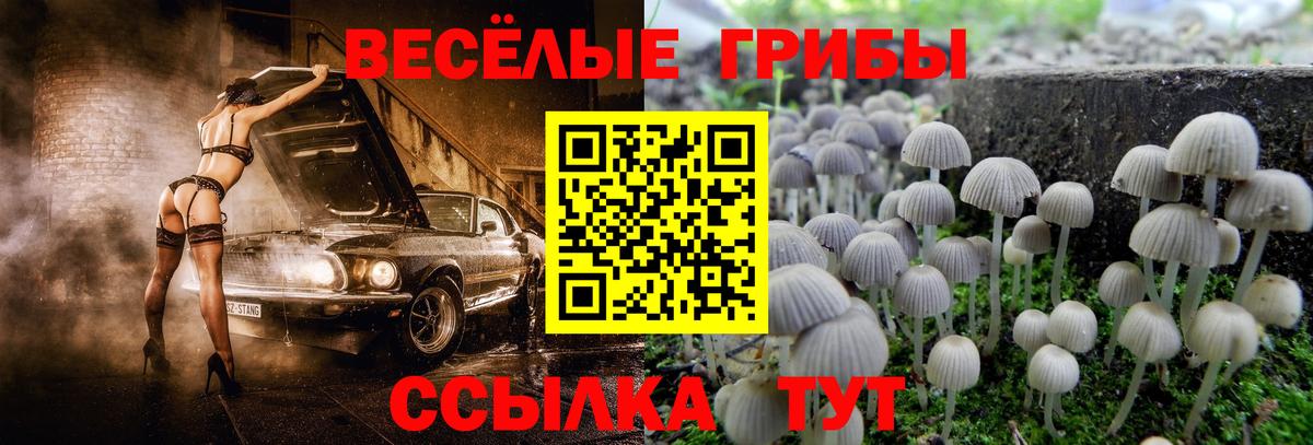 Псилоцибиновые грибы прущие грибы Мегион