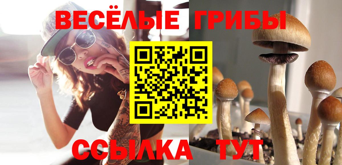 купить закладку  Вход с VPN  Мегион  Псилоцибиновые грибы MAGIC MUSHROOMS  Псилоцибиновые грибы мухоморы 